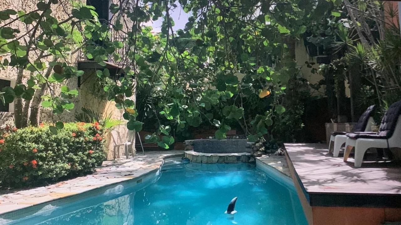 بونتا كانا Manaya Bed & Breakfast المظهر الخارجي الصورة